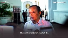 Respons Kepala BMKG Soal Munculnya Daratan Baru di Anak Krakatau dan Potensi Tsunami