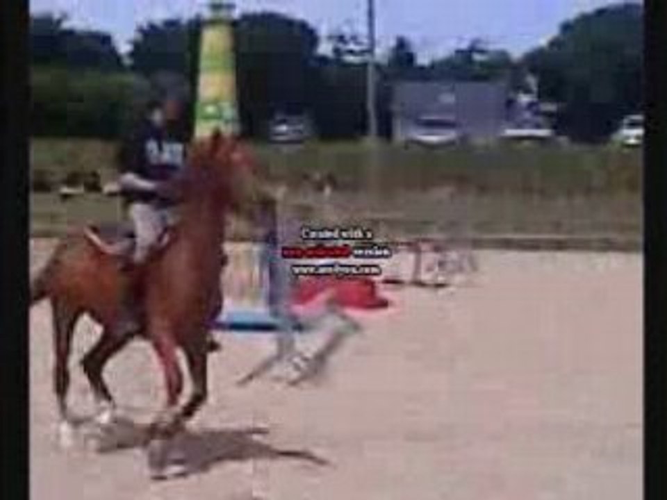 Cours de saut d'obstacle