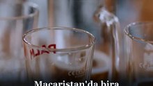 Macaristan'da birayla kadeh tokuşturulmaz