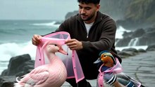 Ducks wearing cute outfits 😍