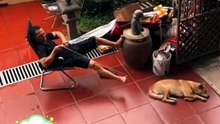 funny video to laugh