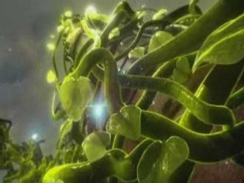 above and beyond trance around the world