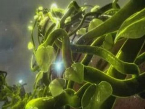 above and beyond trance around the world