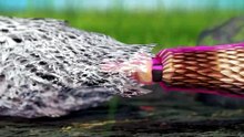 How Rattlesnake Rattles Grow