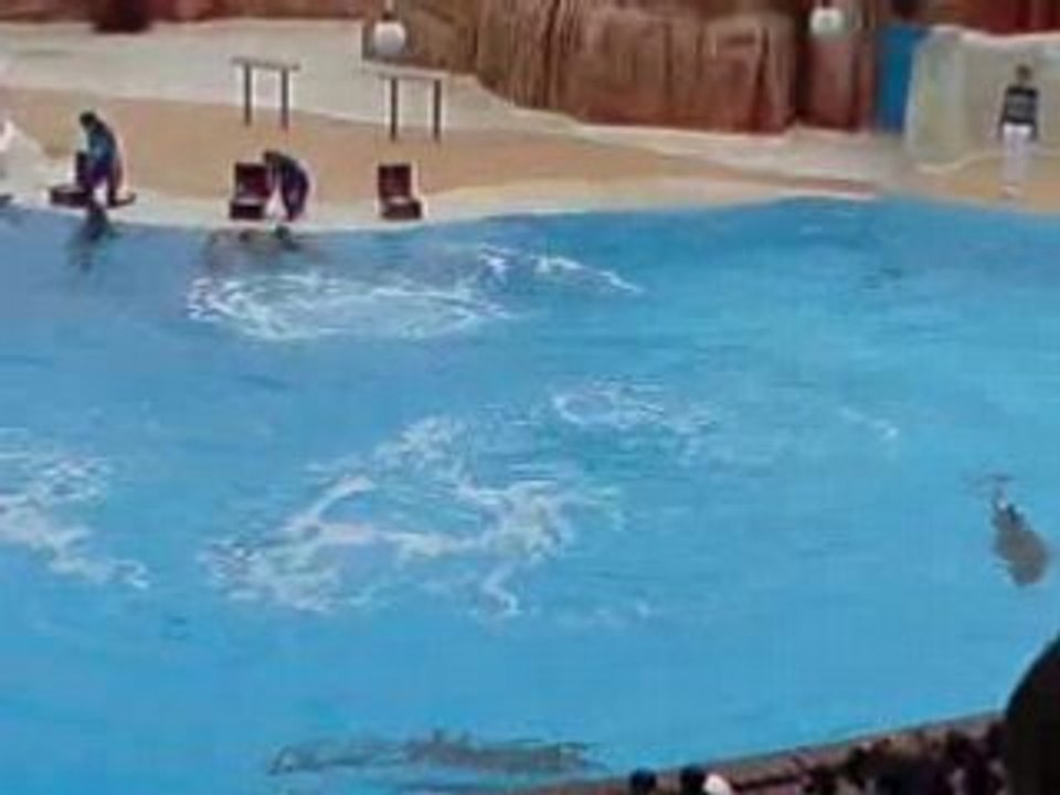 V020808_11.01