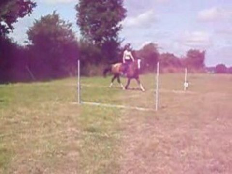 Menso mon ti criollo d'amour!