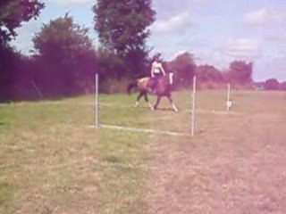 Menso mon ti criollo d'amour!