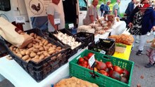 Neuer Wochenmarkt in Gerasdorf eröffnet