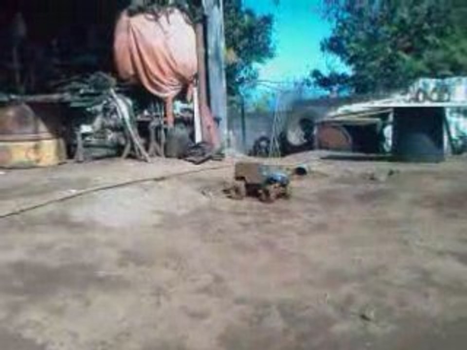 VIDEO0014