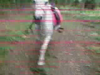 Balade avec Nalha 3 aout 2008