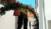 Beautiful White Alley in Greece - Mykonos Island Summer Walk 🇬🇷