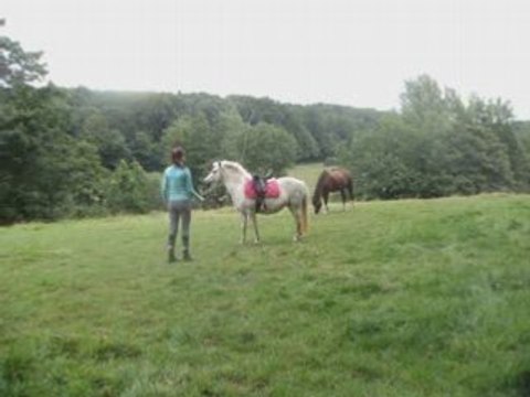 Nalha travail a pied et a cheval avant la balade