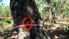 Residents at Darwin’s YiSSA homeless shelter to be moved 100km south to Batchelor