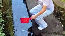 Amazing funny reel