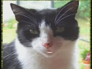 Jeu Mathématique pour Épater Vos Amis 🎲