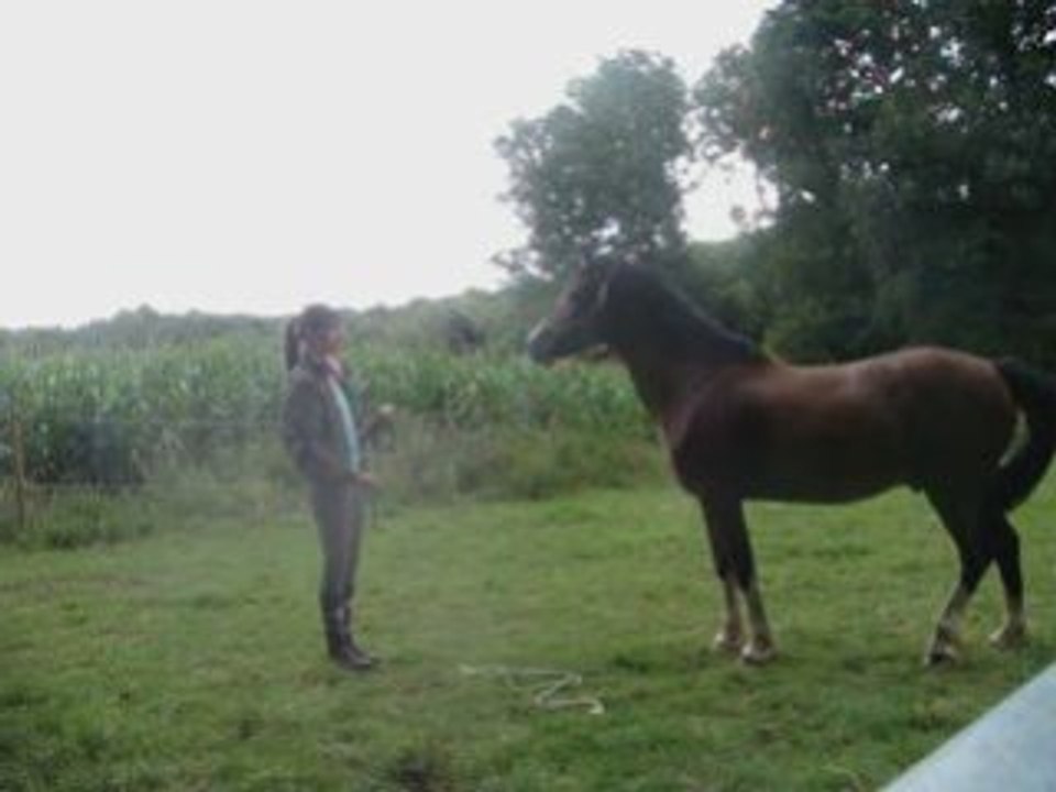 Vinnie exercice La cense 1er degré