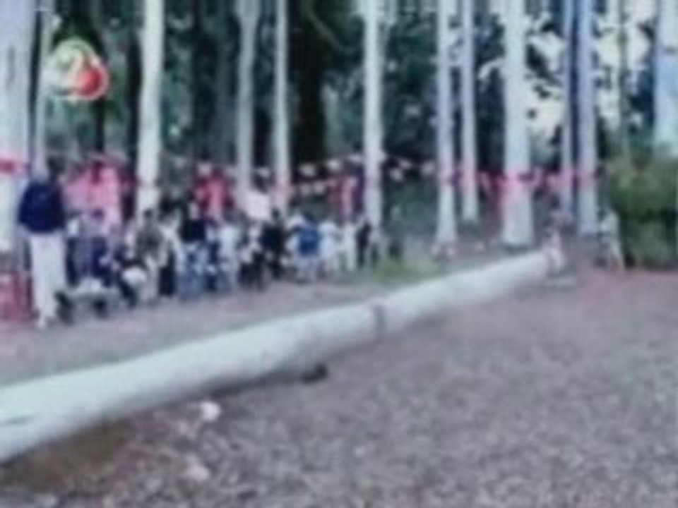 Guy Catches A Falling Tree