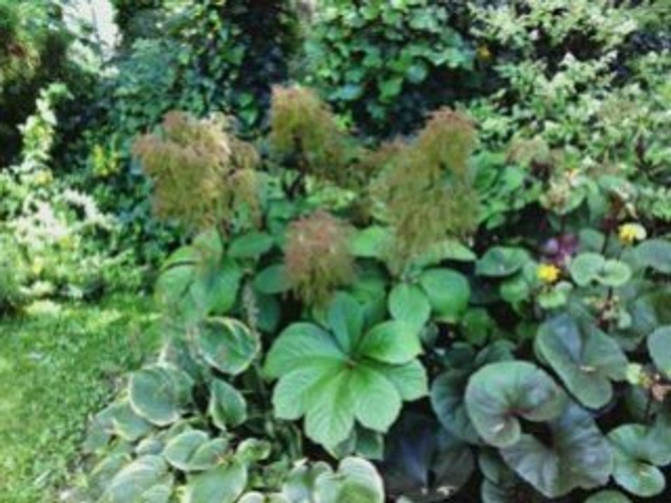 JARDIN D'ODILE