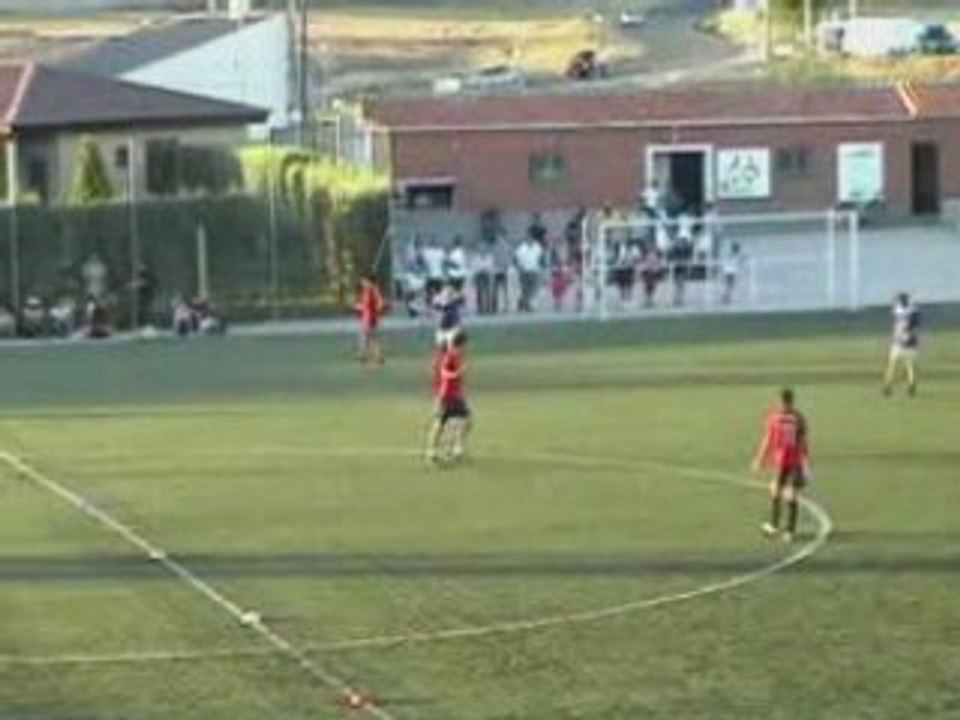 SanPerejilDelMonte-Newting_1
