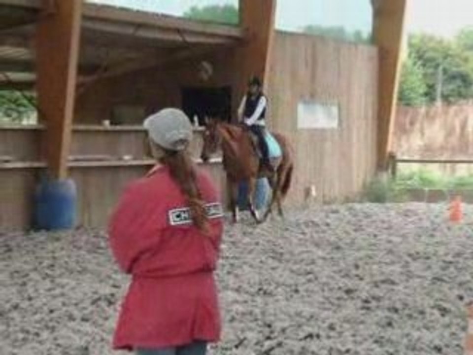 Hélium-dressage-galop-4