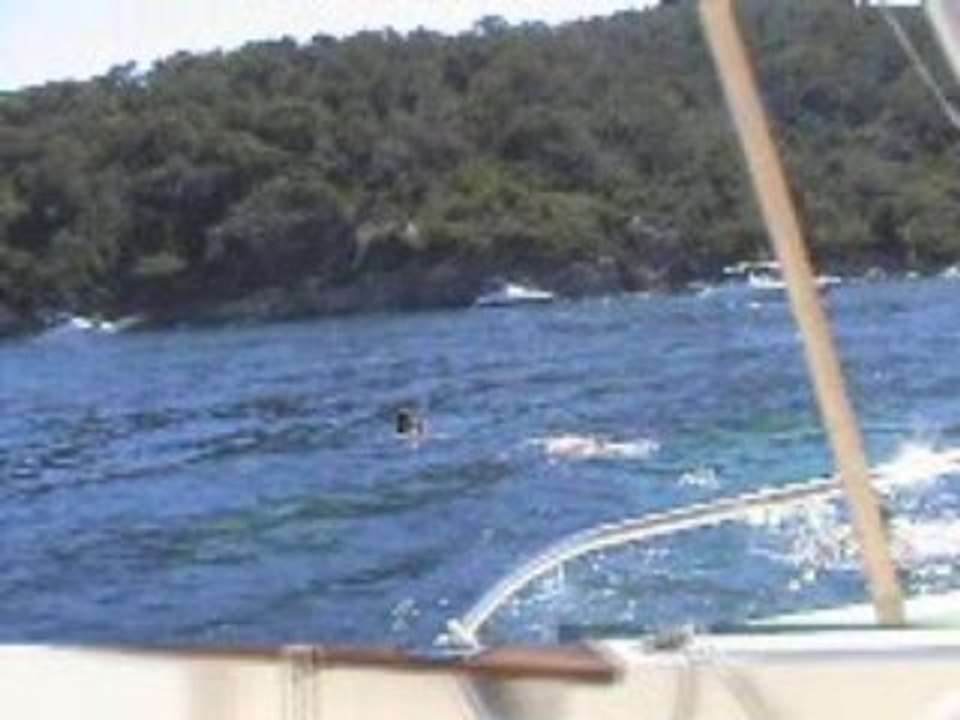 Voyages sur la Presqu'île de Giens partie 7