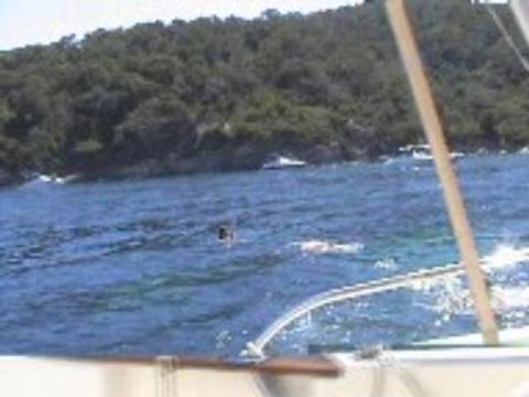 Voyages sur la Presqu'île de Giens partie 7