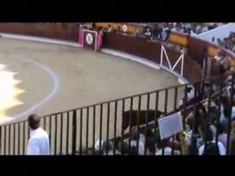 Corrida de Toros Berja 2008
