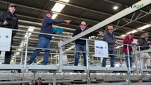 Ballarat's monthly store sale