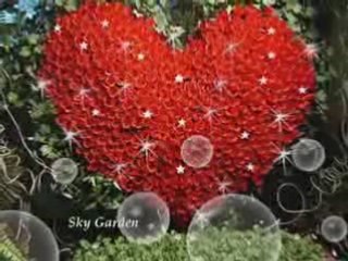 Sogdiana-Veter Dognat