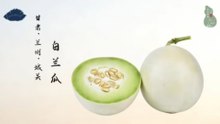 白兰瓜！兰州名优特产！砂田凝蜜载中美佳话！皮白瓤绿品夏日清凉！
