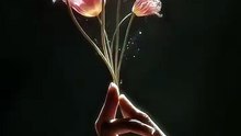 Hi everyone