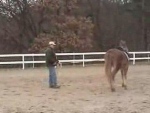 Quandy en longe a 2ans et demi