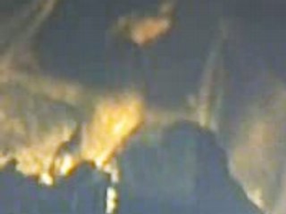 DRAGON 44