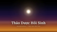 Thảo Dược Hồi Sinh
