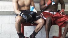 Você sabia? A história curiosa por trás das mordidas mais famosas do mundo #Shorts