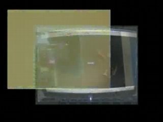 nicorullo 002 [DirecTV Fakery]