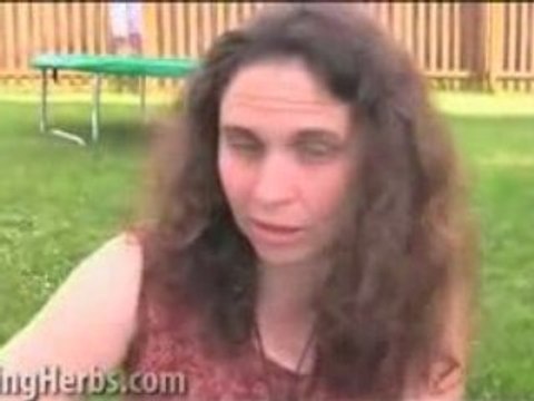 Harvesting Herbs: Hawthorn, herbs for the heart