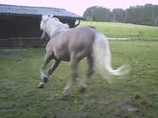 Valentin qui se défoule