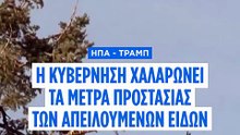 Η κυβέρνηση Τραμπ περιορίζει την προστασία των ειδών υπό εξαφάνιση