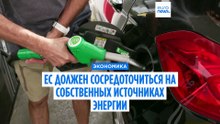 Эксперт ВЭФ: лучшее для Европы — сосредоточиться на внутреннем рынке
