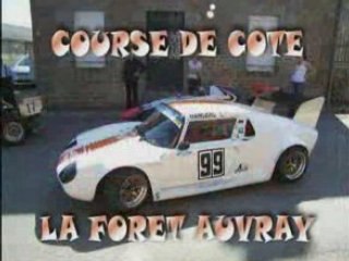 LA FORET AUVRAY Montée 1