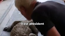La souris qui mange le serpent… et plein d’autres infos incroyables sur les animaux !