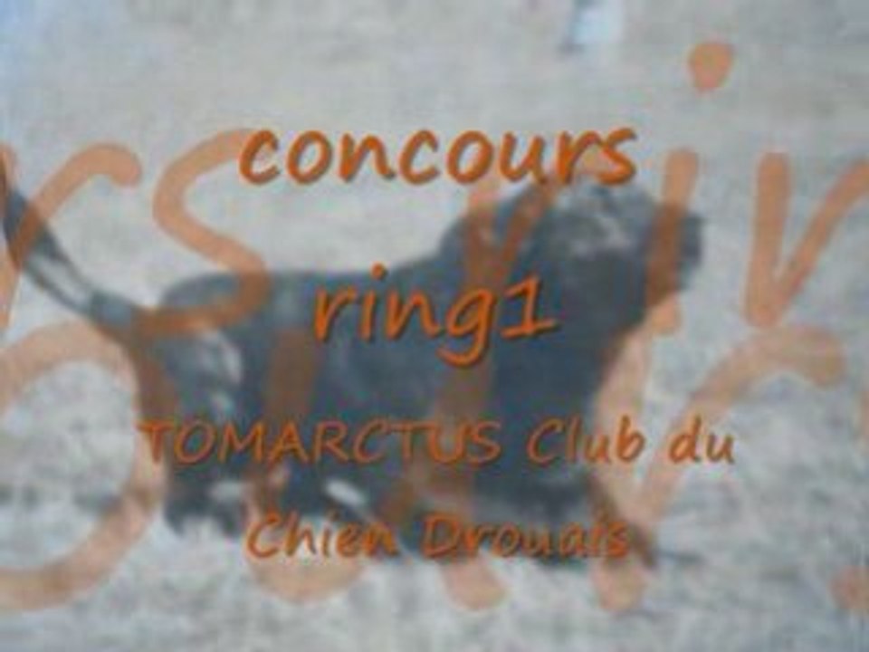 Concours ring1