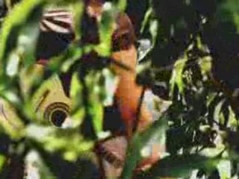 Promo van Leine en 'Best Of De Grote Prijs Van Nederland'