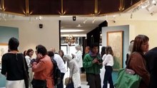 "Ирисы" Клода Моне впервые выставляют на аукцион в Париже