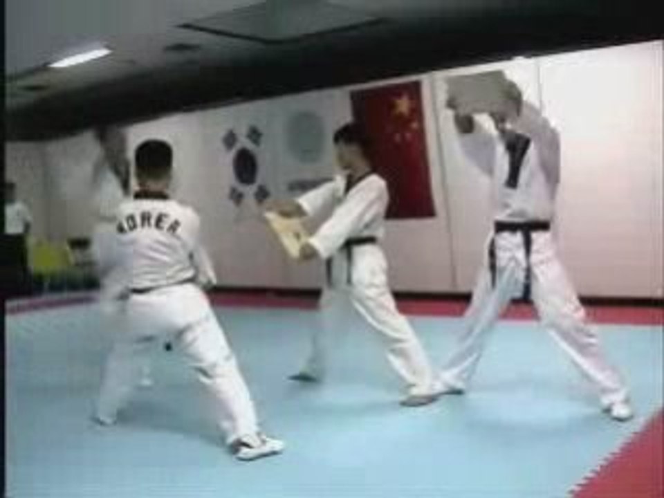 Korean_tigers _quot_Tae kwon do_quot_