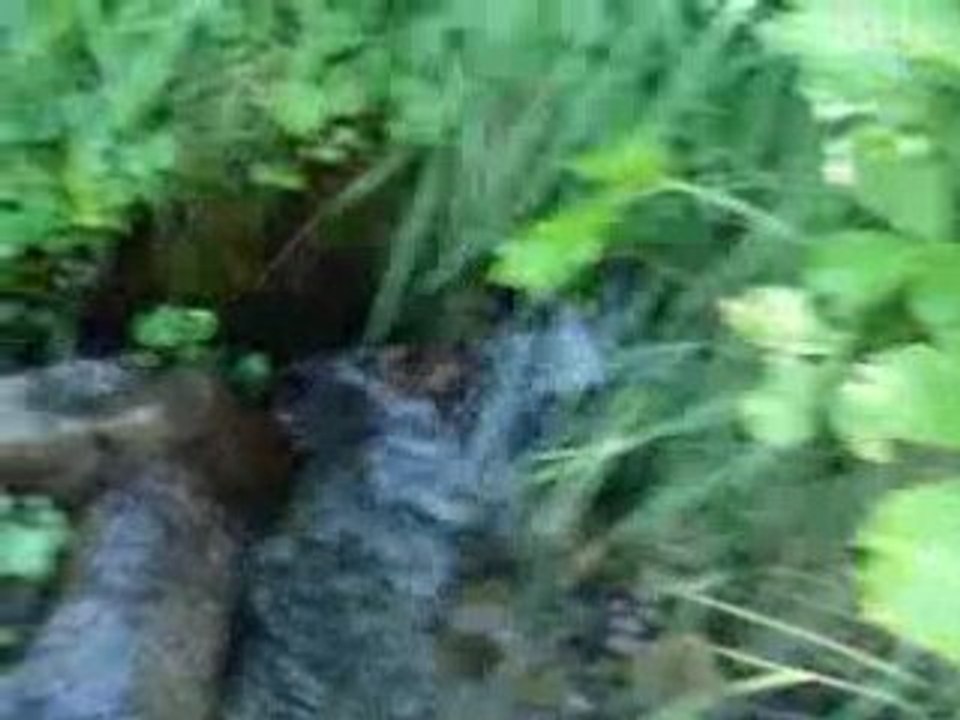 SansTitre_0001