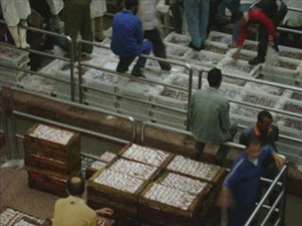 Vacances Agadir 2008