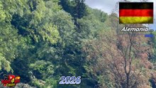 ASÍ SE CORTAN LOS ÁRBOLES EN ALEMANIA 🌲🚁 Y ASÍ SE TRANSPORTAN #trabajo #alemania #tehnologia #españa
