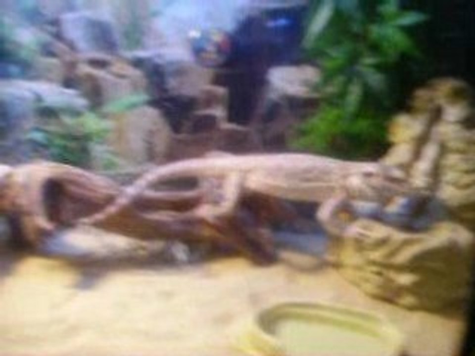 Photo 048